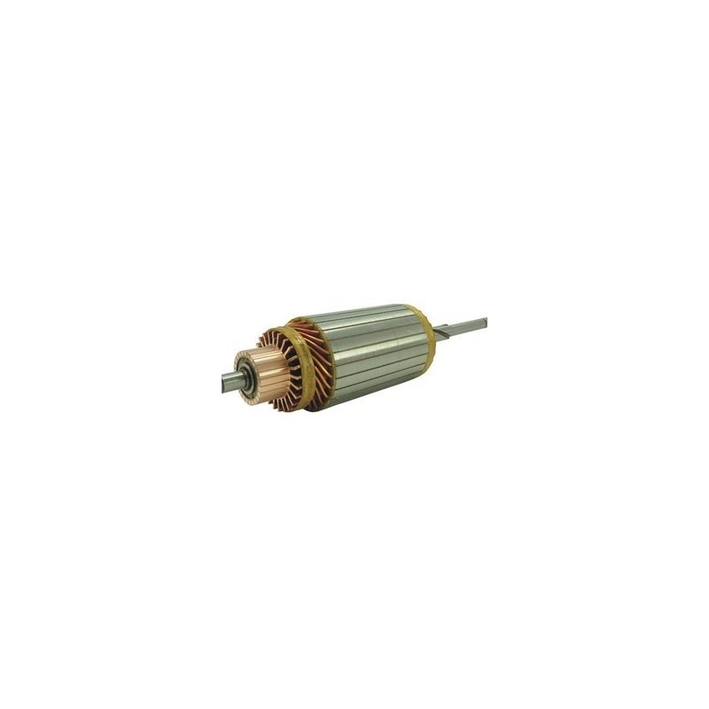 ARMADURA (5165N)  ARMADURA USA PERKINS DELCO 12V