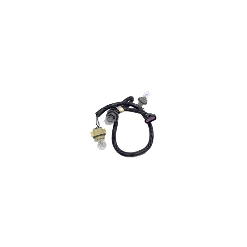 ARNES (SK38218)  JGO. DE ARNES CON CONECTOR DE 5 ENTRADAS HEMBRA Y 3 SOQUET SF2. INCLUYE FOCOS