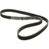 BANDA (021145933H)  BANDA DIRECCION HIDRAULICA A3-A4 / MOTOR 6 CILINDROS 7DPK1360-K070535