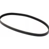 BANDA (07K145933G)  BANDA ALTERNADOR JETTA A6 NEW BEETLE PASSAT MOTR 2.5