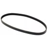BANDA (07K145933G)  BANDA ALTERNADOR JETTA A6 NEW BEETLE PASSAT MOTR 2.5