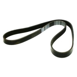 BANDA (11720EL00A)  BANDA ALTERNADOR TIIDA 2007-2012 – MOTOR 1.8 LITROS 6PK1205