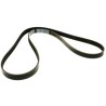 BANDA (XS6E6C301BB)  BANDA ALTERNADOR FIESTA 1.6 LTS 2003-2008 – KA 1.6 LTS 2001-2006 – IKON 2000-2006 1.6 LTS / SIN AIRE ACONDI