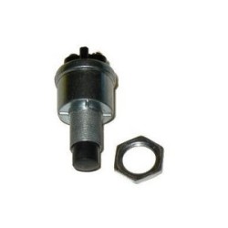 BOTON (CUB49A017)  BOTON DE MARCHA 12 24V STANDARD SSB6