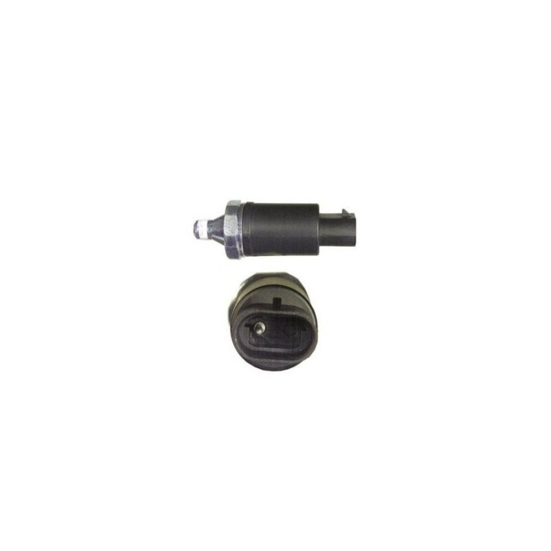 BUBLO (CUB28A019)  BULBO ACEITE JEEP 89-98 PS257
