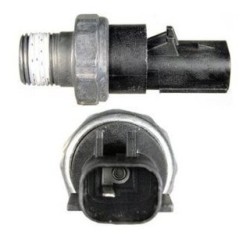BUBLO (CUB28A055)  BULBO ACEITE VOYAGER STRATUS NEON PS287