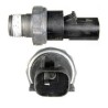 BUBLO (CUB28A055)  BULBO ACEITE VOYAGER STRATUS NEON PS287