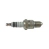 BUJIA (242225554) BUJIA BOSCH PLATINUM WR9DPX DODGE, FORD, NISSAN N-14Y