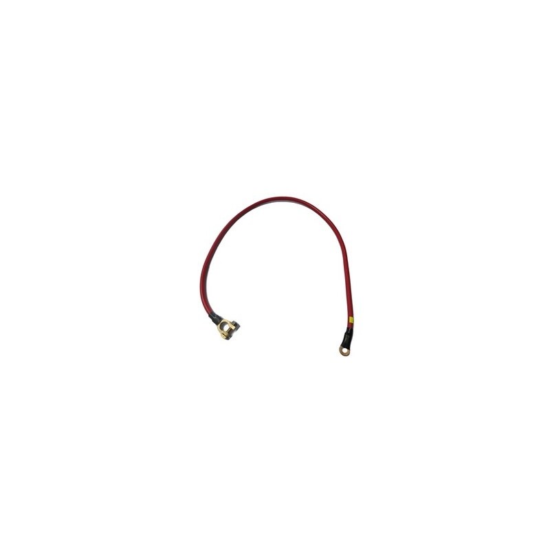 CABLES (CAB100CM)  CABLE ARMADO PARA ACUMULADOR