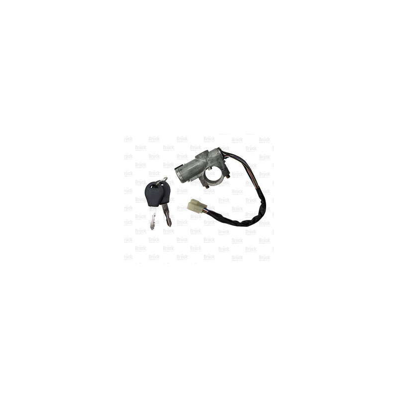 CARCAZA (4870075Y00)  CARCAZA PORTA SWITCH TSURU III B13 CON PASTILLA DE ARRANQUE-2 LLAVES